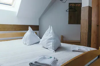 Pensiunea Green Park Brasov Hotell 3*